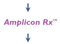 amplicon-w-arrows
